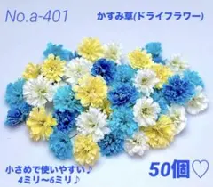 確認用となりますNo.a-401かすみ草(ドライフラワー)4ミリ～6ミリ♪50個