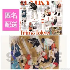 ジャンプGIGA 2024 autumn ハイキュー 特典 付録のみ