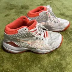 Item thumbnail for item 0c04d45f-5141-44ba-a40a-eca13bacc6ad