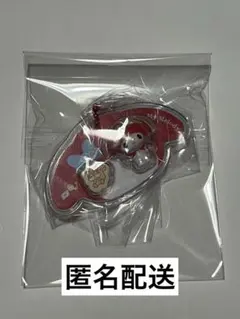 サンリオキャラクターズ パッケージチャーム＆チョコボーロ