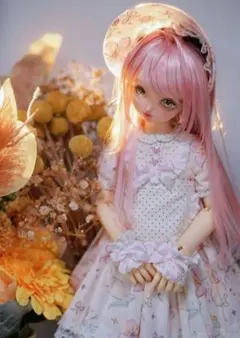 MSD MDD 服 1/4クラス アウトフィット