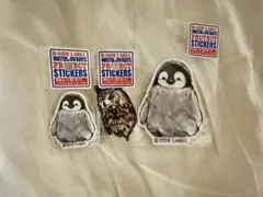 Item thumbnail for item f86d5705-7b6f-48fc-a850-251fd5d80c79