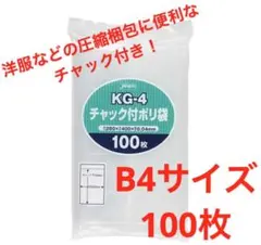 Item thumbnail for item cfdc3dce-1f58-4c96-a4e8-d3c0a3144144