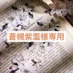 Item thumbnail for item 6aee55f1-1465-4379-94fe-3c92cd85df79