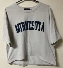 大きいサイズ　3L 半袖Tシャツ