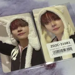 ふわふわアニマルトレカセット NICHOLAS &TEAM