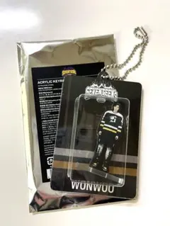 セブチ　SEVENTEEN HOME アクリルキーリング　ウォヌ