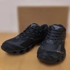 Mizuno Wave Prophecy LS GTX ゴアテックス