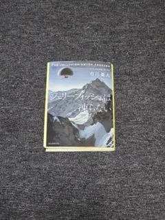 （裁断済）シェリー・フィッシュは凍らない