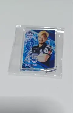 Item thumbnail for item a26e3ec6-e3ee-47bb-a36a-99b8c6b8e9a5