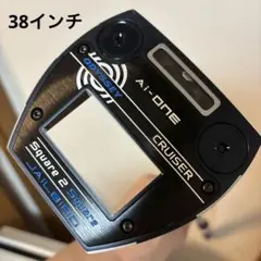 Item thumbnail for item a8a91986-1a60-414f-9246-81eadd16211f