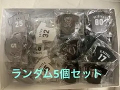 千葉ロッテマリーンズ　ユニフォーム型アクリルキーホルダー　ランダム5個セット