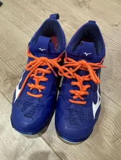 【 ミズノ mizuno 】 バレーボールシューズ ウェーブモーメンタム