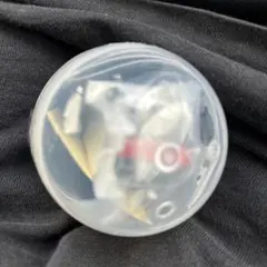 カプセルプラレール トーマス 雪の中でおおはしゃぎ編