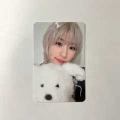 ウォンビン タレントカード