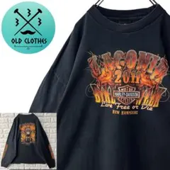 【HARLEY DAVIDSON】L/S Tee デカロゴ スリーブロゴ 2XL