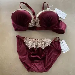 E70ブラジャーショーツセット