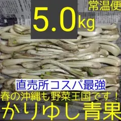 毎年人気！鹿児島産 らっきょう 10kg パリッと食感！365 - メルカリ
