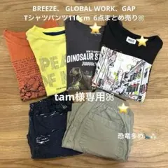 tam様専用ꕤ BREEZE GLOBALWORK GAP Tシャツパンツ