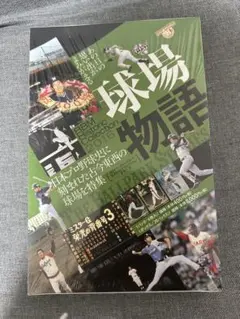 大谷翔平直筆サイン色紙 大谷翔平高校3年 - メルカリ