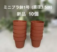 【新品】ミニプラ鉢 10個セット（直径3.5cm）多肉植物 葉挿し 一寸鉢のサムネイル