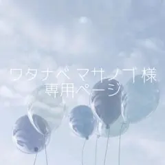 ワタナベマサノブ様 リクエスト 2点 まとめ商品