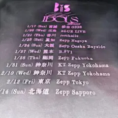 BiS Tシャツ XXL