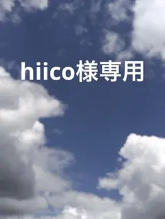 長崎カステラ切り落とし 12 パックhiico様専用