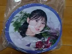 乃木坂46 柴田柚菜 クッション 福袋 2022
