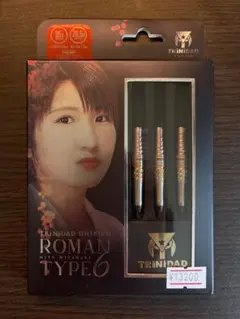 ローマン6　宮脇プロモデル　ダーツケースセット 陸斗様 ローマン6 宮脇プロモデル ダーツケースセット - メルカリ
