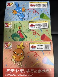ポケモン　フライヤー　キモリ　アチャモ　ミズゴロウ