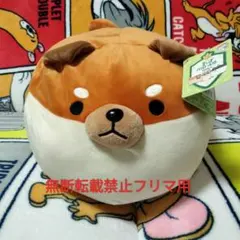 新品 豆しばパトロール隊 クッション チームC とら丸 だるいぬ団のサムネイル