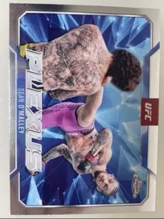 UFCカード ショーンオマリー 2025