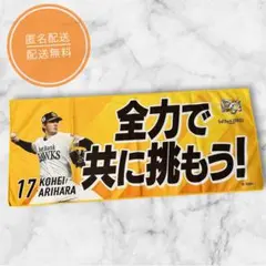 Item thumbnail for item cc31fa92-ed02-4618-a4e7-444f6ffc1469