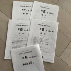 2026年最新】sapix 組分けテスト 新5年の人気アイテム - メルカリ