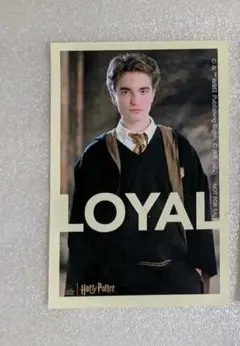 2026年最新】セドリック ハリーポッターの人気アイテム - メルカリ