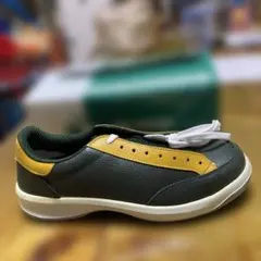 Item thumbnail for item 0c0a5ea8-1451-4068-82ad-5a1aa2219820