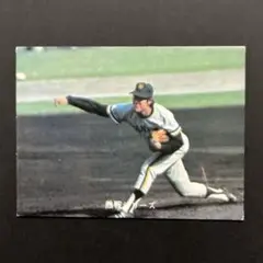カルビープロ野球カード1973年版NO.350南海ホークス山内新一投手