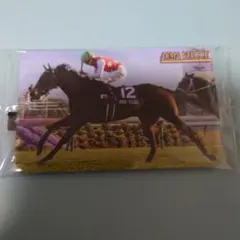 まねき馬　2617　アルマヴェローチェ　岩田望来