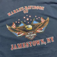 Harley-Davidson フレイム イーグル ファイヤー柄 - メルカリ