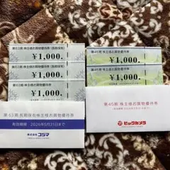 ビックカメラ コジマ 株主優待　合計5000円分