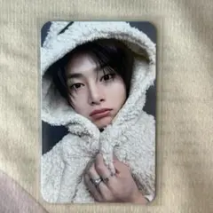 StrayKids アイエン プレリス KARMA FANS トレカ