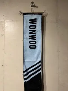 ウォヌ JAPAN デビュー ショーケース タオル