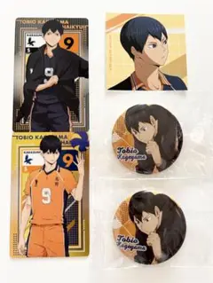 ハイキュー ShoesFit缶バッジ アニメイト特典 メタリックカード 影山飛雄