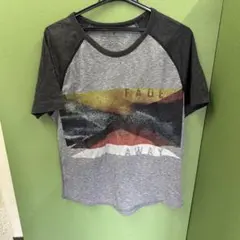 AMERICAN EAGLE OUTFITTERS M Tシャツ