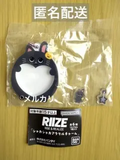 Item thumbnail for item b9d96088-e94e-4049-9b5c-acdc74221c43