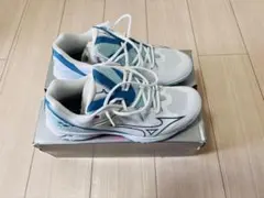 Item thumbnail for item d83f0b55-8dc1-490e-a726-97823a739134