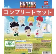 HUNTER×HUNTER めじるしアクセサリー コンプリート5点セット - メルカリ