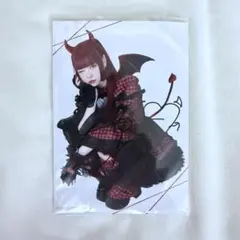 AVAM ぬいぐるみ サインブロマイド付き 大原乙葉 - メルカリ