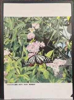 2026年最新】アサギマダラの人気アイテム - メルカリ